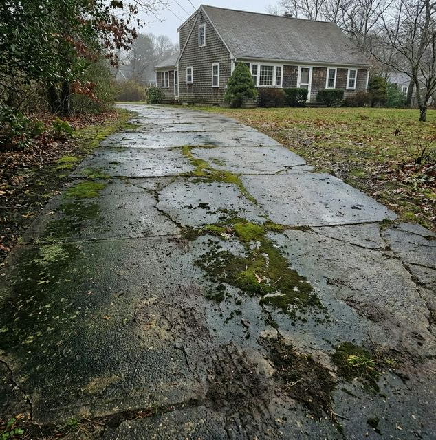 Moss-covered walkway before cleaning